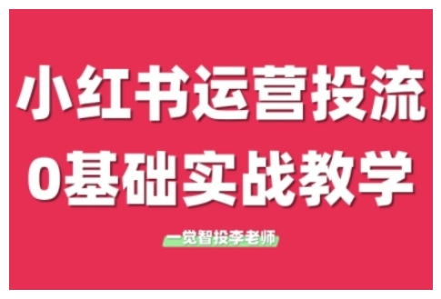 小红书运营投流，小红书广告投放从0到1的实战课，学完即可开始投放（更新26年）-小白网创