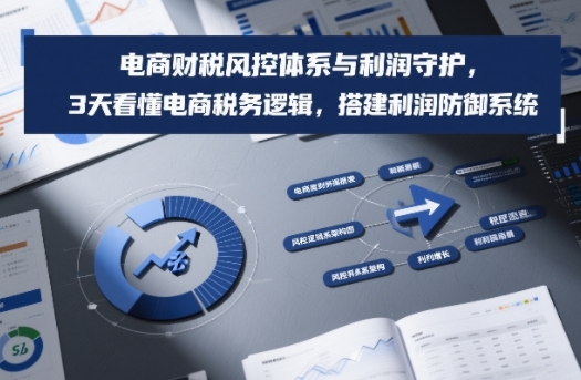 电商财税风控体系与利润守护，3天看懂电商税务逻辑，搭建利润防御系统-小白网创