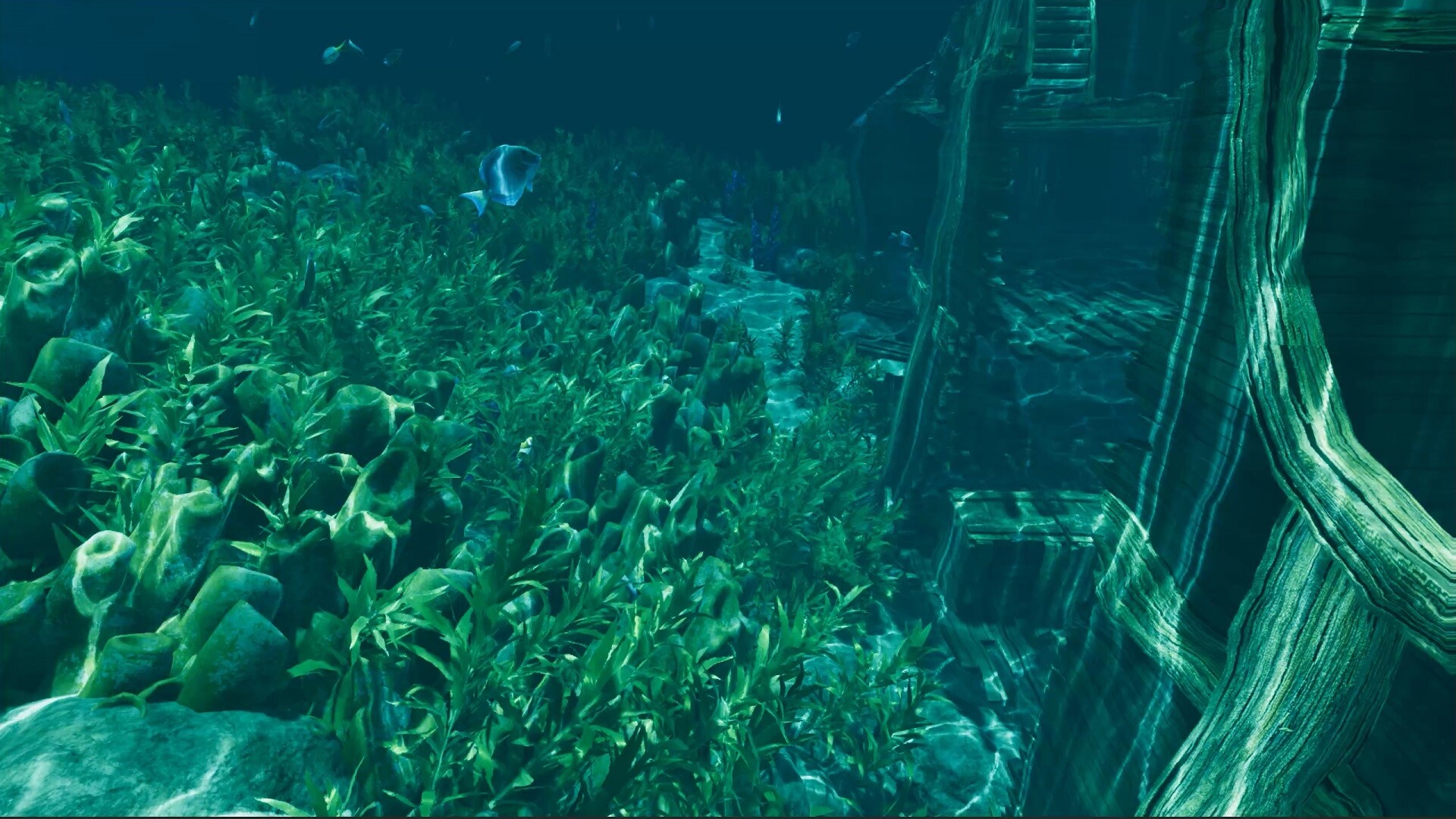 孤岛笔记|v20260123|官方中文|Island Notes