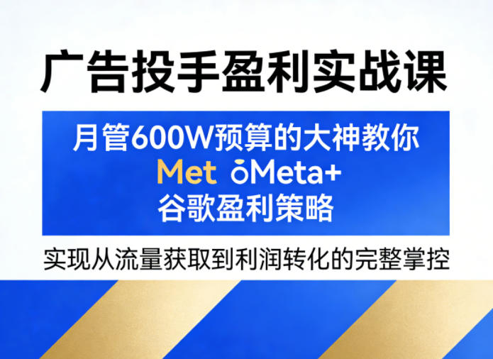 广告投手盈利实战课，月管600W预算的大神教你Meta+谷歌盈利策略，实现从流量获取到利润转化的完整掌控-小白网创