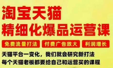 淘宝天猫精细化爆品运营课，免费流量打法-付费广告放大-利润增长-三大核心痛点，一次全部解决-小白网创