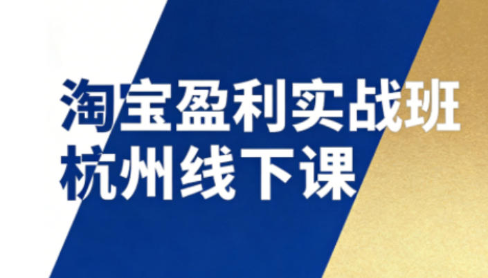 淘宝盈利实战班杭州线下课12月26-28日（音频+字幕），帮你掌握SOP流程+12门核心技术-小白网创