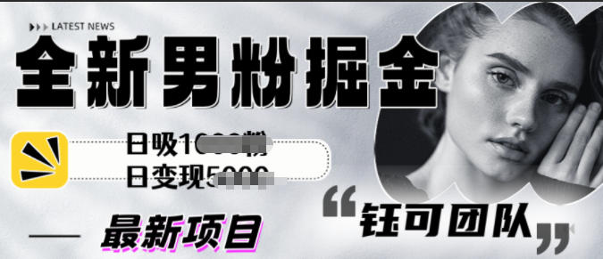 全新男粉掘金思路日吸粉100+日变现1k+-小白网创