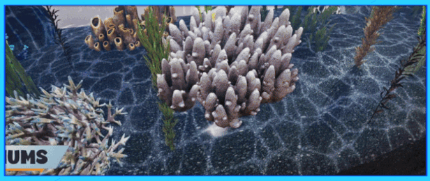 水族店模拟器|官方中文|支持手柄|Aquatic Store Simulator|水生商店模拟器-小白网创