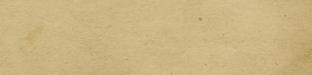 北境之地|全DLC|官方中文|Northgard：Hræsvelg Clan of the Eagle/北加尔/进化之地/北方花园/白鼬部落-小白网创