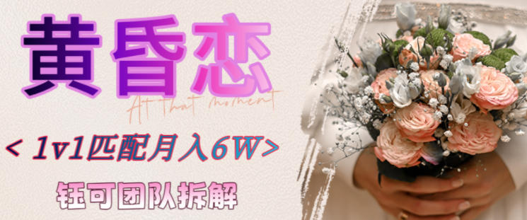 副业拆解：黄昏恋1对1匹配月入6个，潜力巨大-小白网创