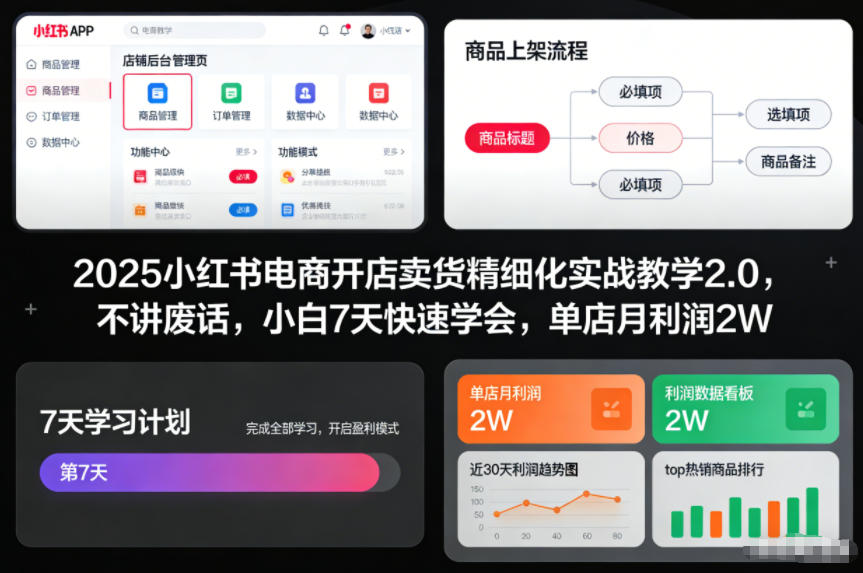 2025小红书电商开店卖货精细化实战教学2.0，不讲废话，小白7天快速学会，单店月利润2W-小白网创