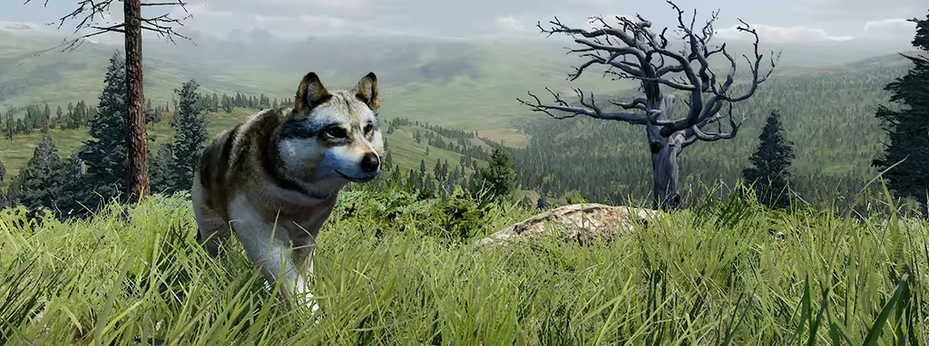 野狼谜踪：周年纪念版|v20260130|官方中文|支持手柄|WolfQuest: Anniversary Edition