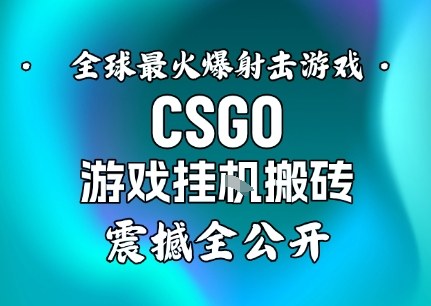 【年底大揭秘】基于全球最火爆的射击CSGO游戏挂G搬砖,日入5张+,震撼公开-小白网创