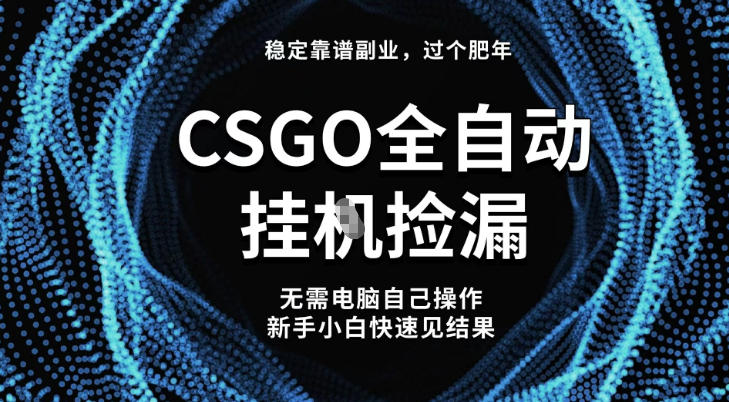 【稳定副业】全球最热门游戏CSGO全自动捡漏,最新玩法,新手小白日入5张+【揭秘】-小白网创