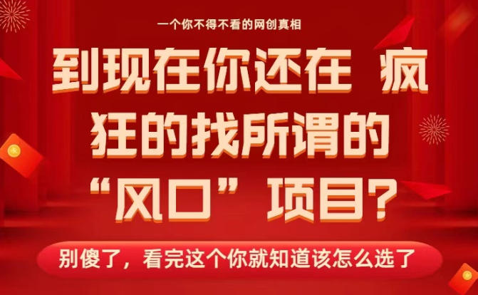 马上26年了,你还在找所谓的风口项目?别傻了,看完这个你全都懂了!【揭秘】-小白网创