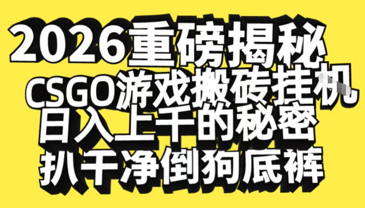 2026开年重磅解密，CSGO游戏搬砖挂G日入1k+的秘密，把倒狗的底裤扒干【揭秘】-小白网创