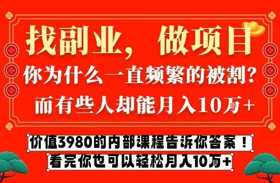 价值3980的网创内部课程，告诉你互联网创业月入10个W的秘密【揭秘】-小白网创
