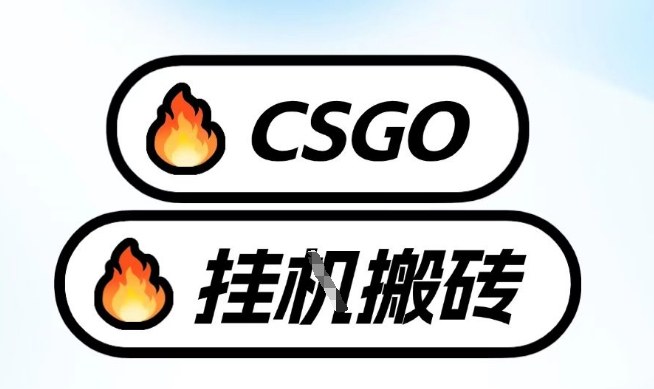 真全网独家CSGO挂G，最新玩法,单日捡漏1K+，不用电脑，不用打游戏【揭秘】-小白网创