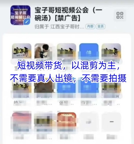 宝子哥头部团队短视频带货，以混剪为主，不需要真人出镜，不需要拍摄【更新11月】-小白网创